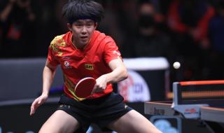 中国乒乓球男单决赛 三十届世界乒乓球男单决赛冠军
